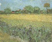 Vincent Van Gogh View of Arles with Irises in the Foreground (nn04) china oil painting artist